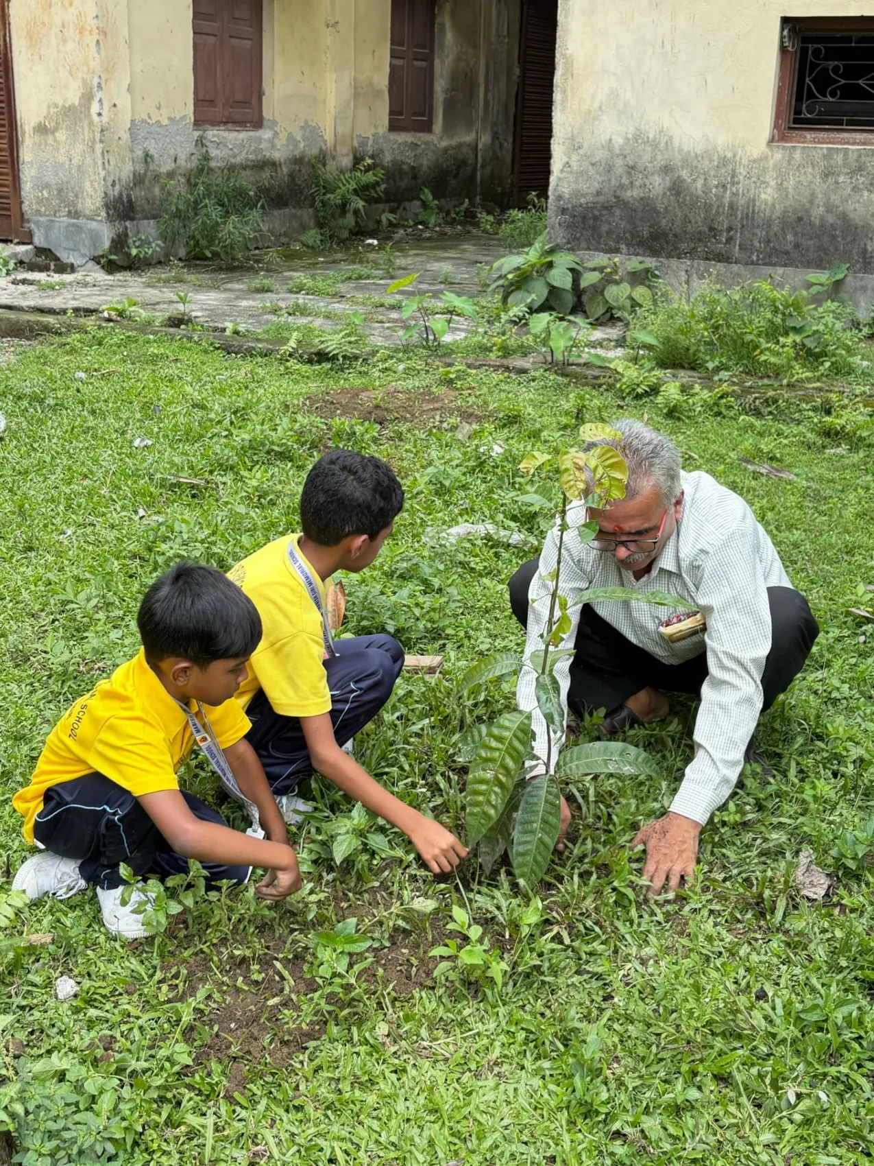 Planting together